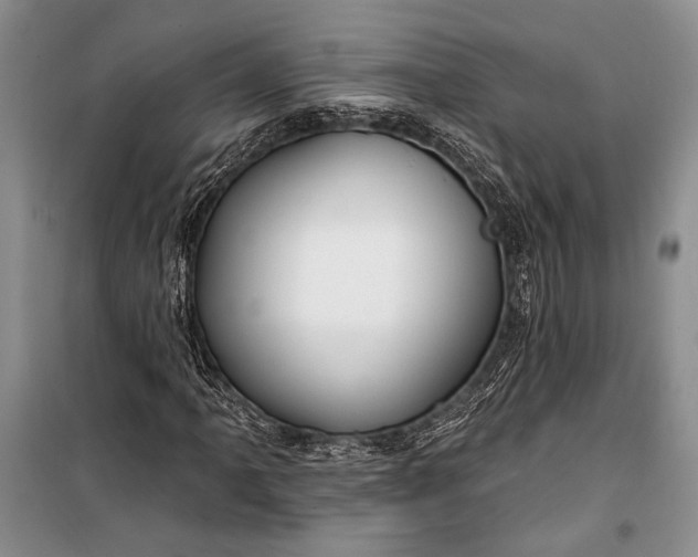 X0000100211061200806131247