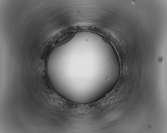 X0000100211062200806131247