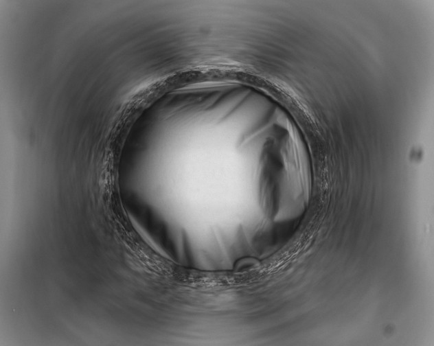 X0000100211063200806131247