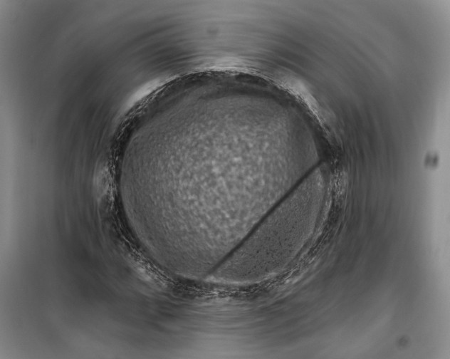 X0000100211064200806131247