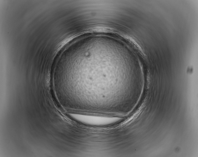 X0000100211065200806131247