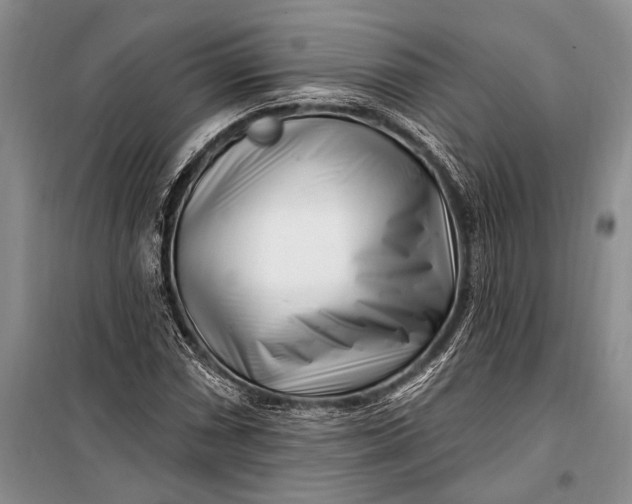 X0000100211066200806131247