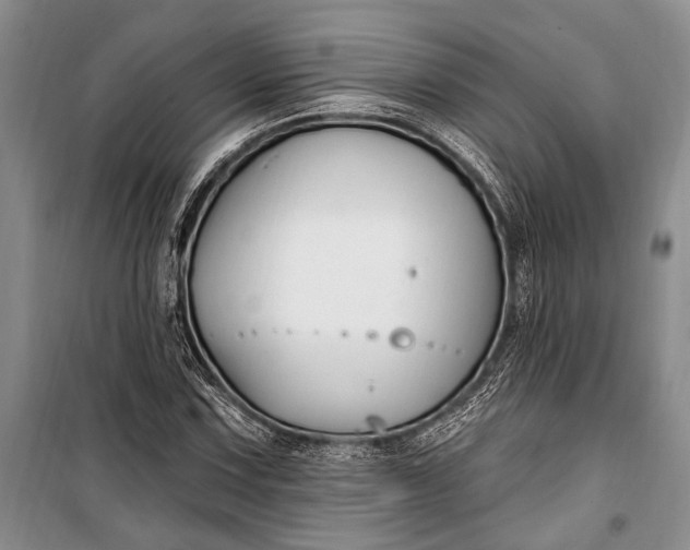 X0000100211067200806131247