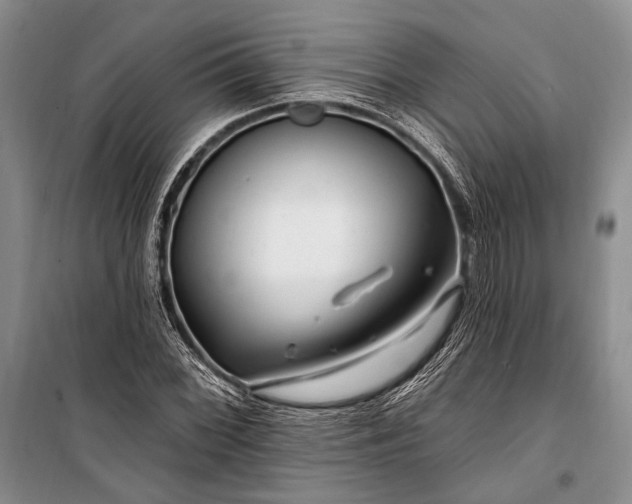 X0000100211068200806131247