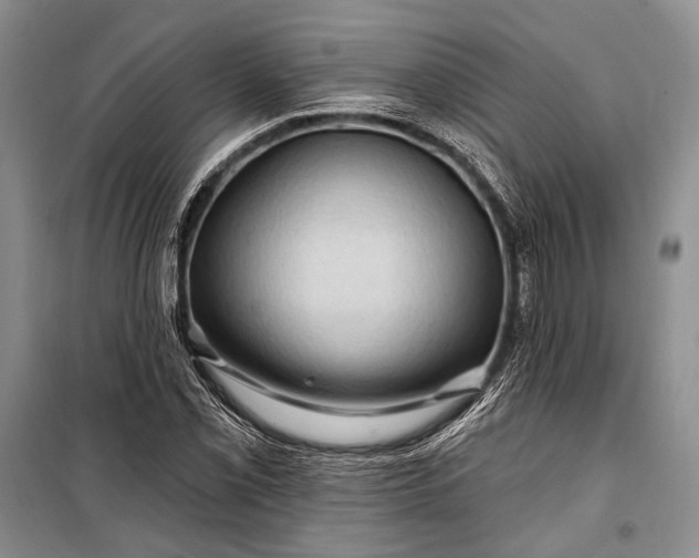 X0000100211069200806131247