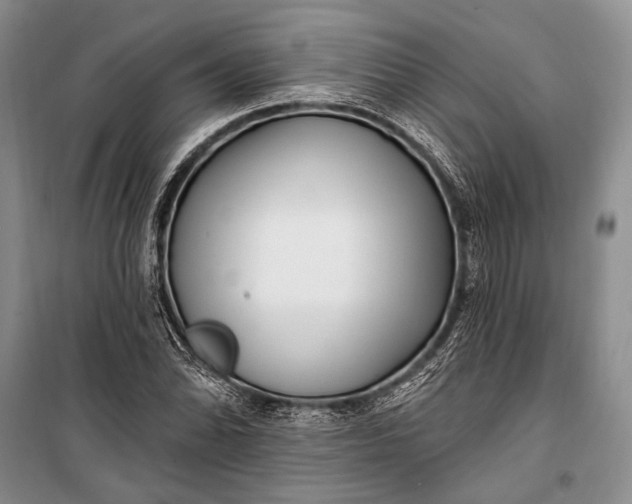 X0000100211070200806131247