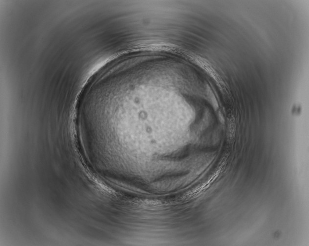 X0000100211071200806131247