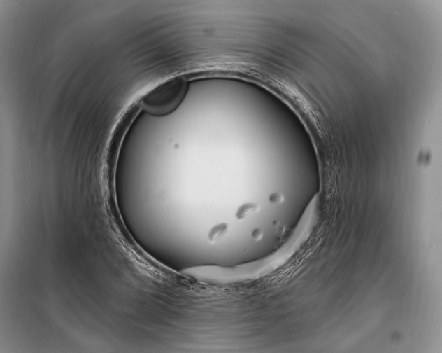 X0000100211072200806131247