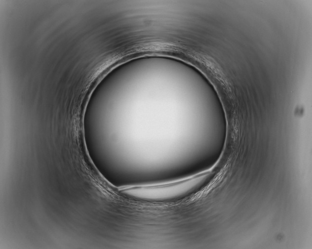 X0000100211073200806131247