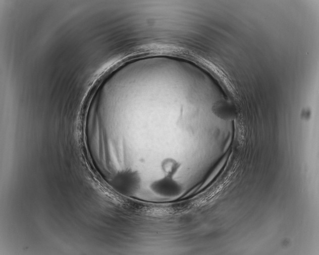 X0000100211074200806131247