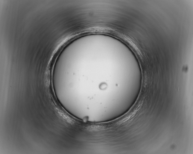 X0000100211075200806131247