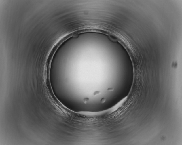 X0000100211076200806131247