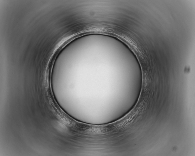 X0000100211078200806131247