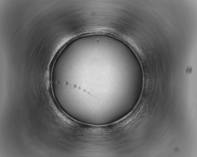 X0000100211079200806131247