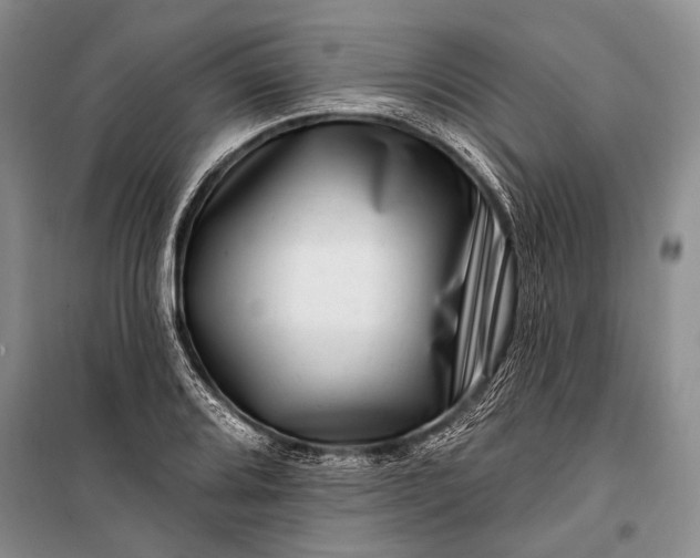 X0000100211080200806131247