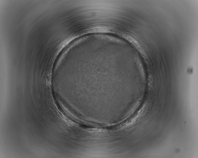 X0000100211081200806131247