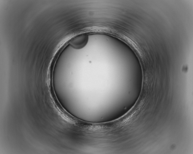 X0000100211082200806131247