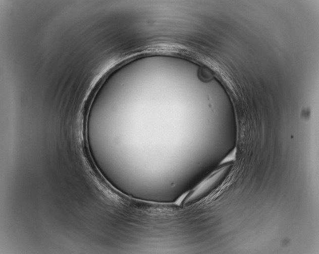 X0000100211083200806131247