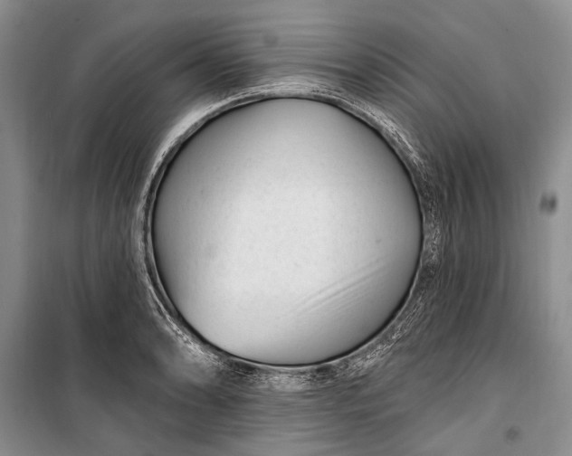 X0000100211086200806131247