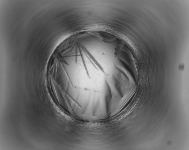 X0000100211087200806131247