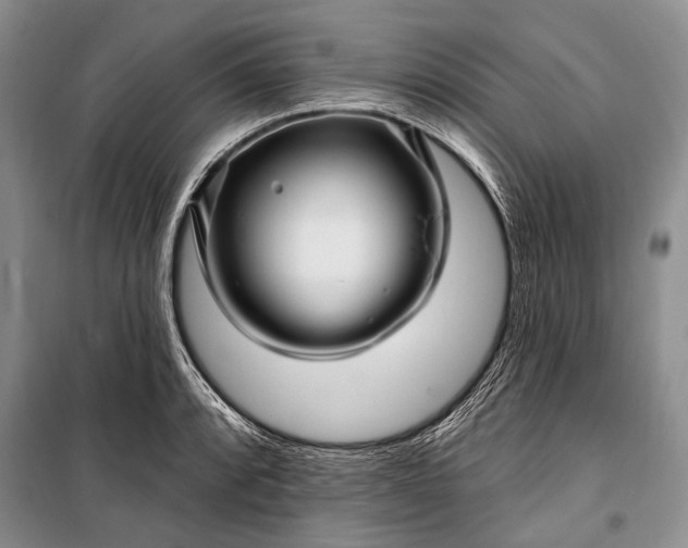 X0000100211088200806131247