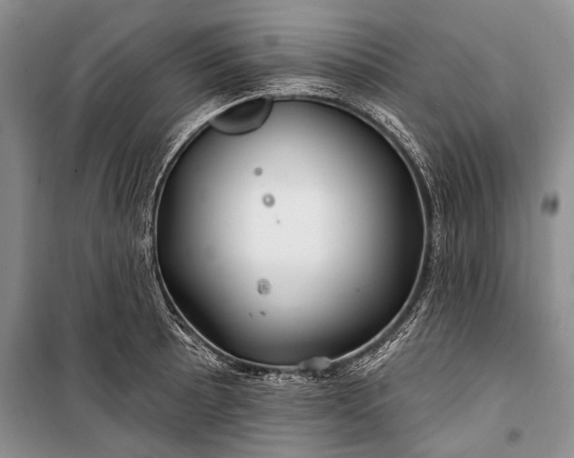 X0000100211089200806131247