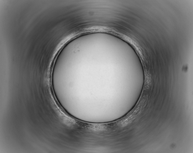 X0000100211090200806131247