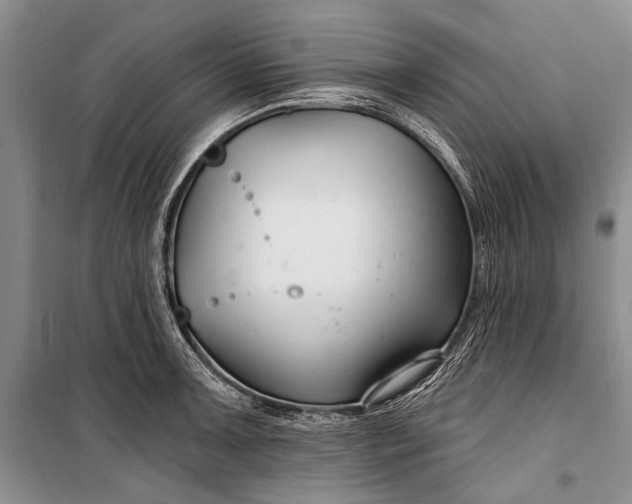 X0000100211091200806131247