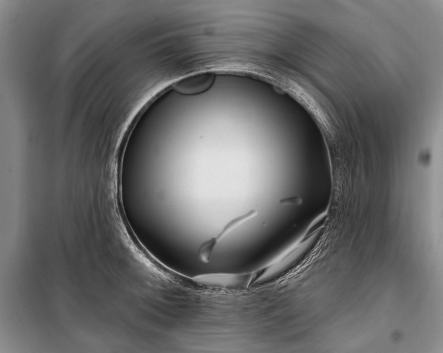 X0000100211092200806131247