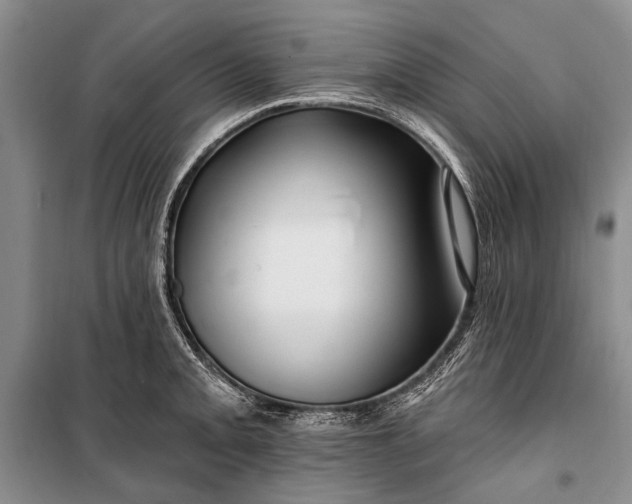 X0000100211093200806131247