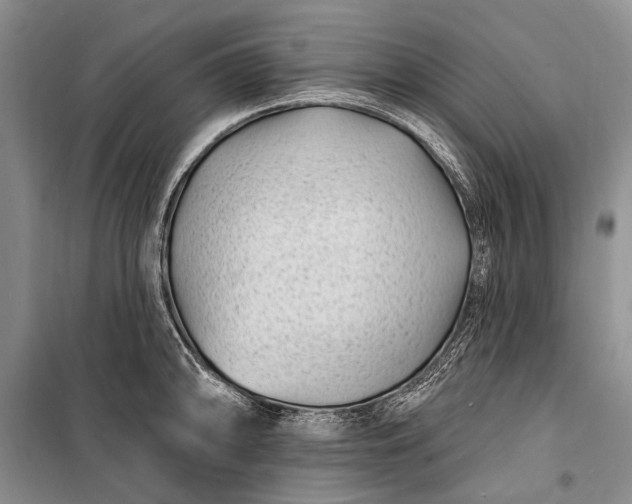 X0000100211094200806131247