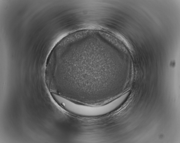 X0000100211095200806131247