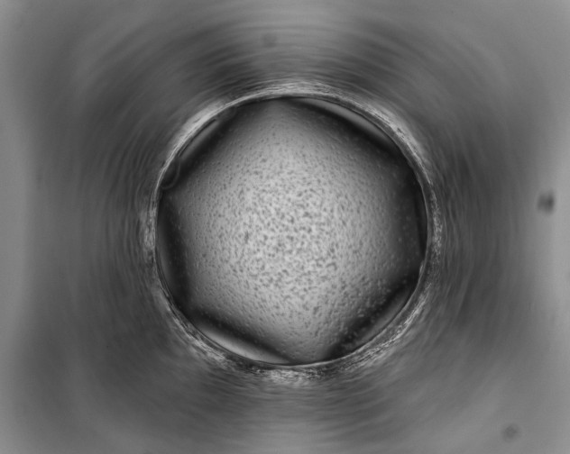 X0000100211097200806131247