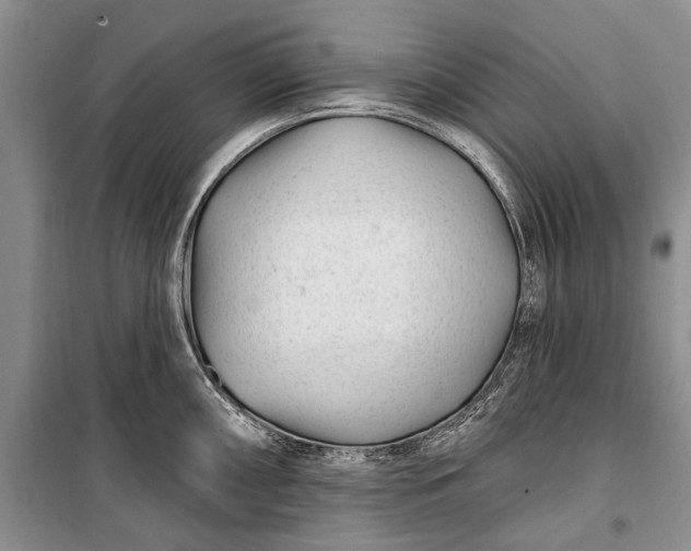 X0000100211098200806131247