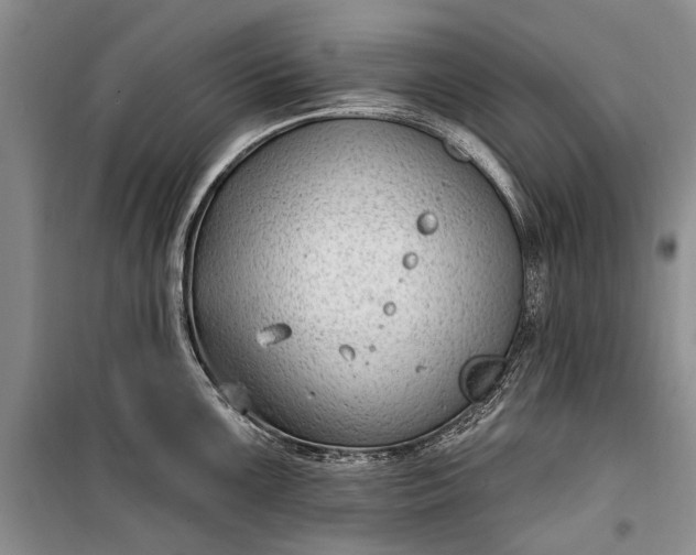 X0000100211099200806131247