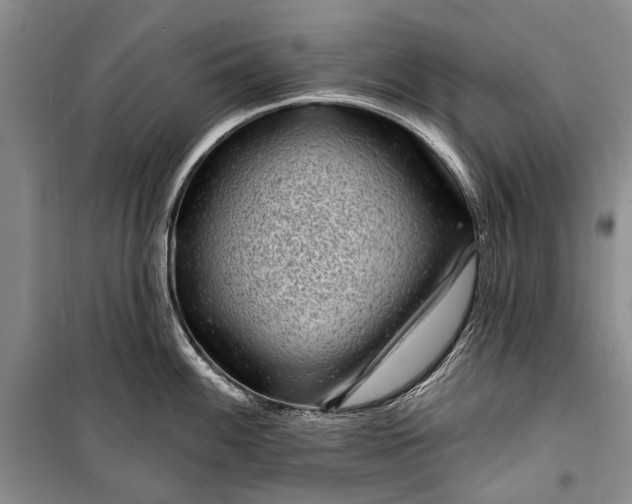 X0000100211100200806131247