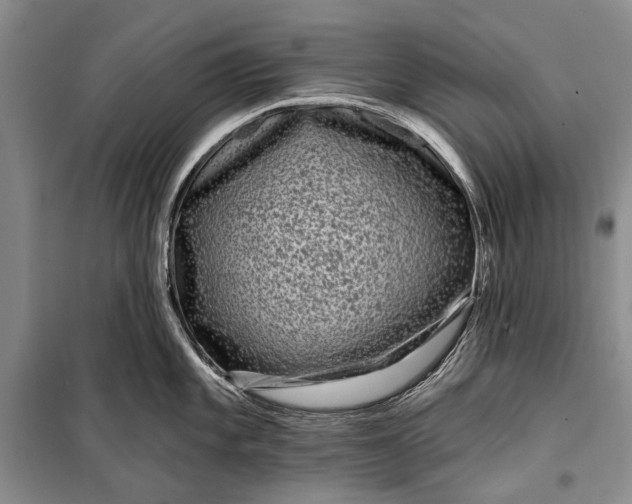 X0000100211101200806131247