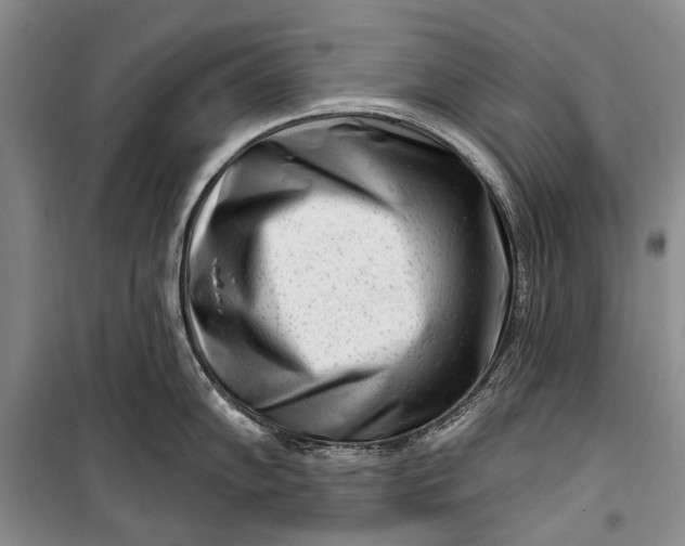 X0000100211102200806131247