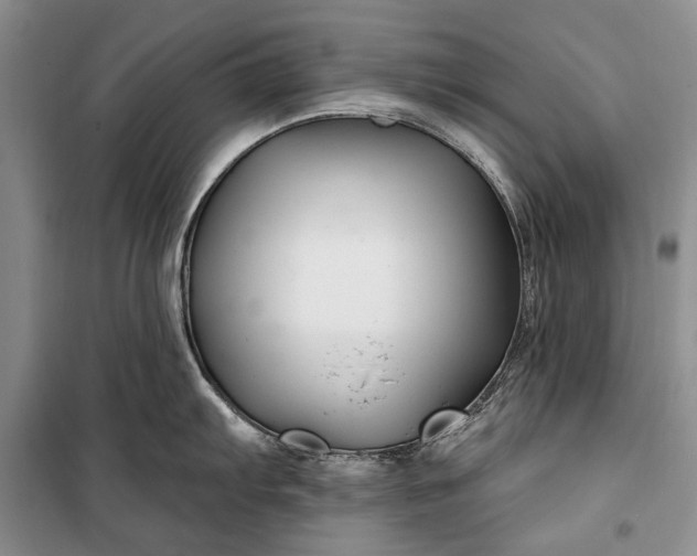 X0000100211103200806131247