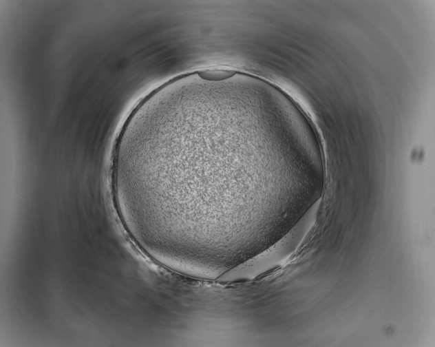 X0000100211104200806131246