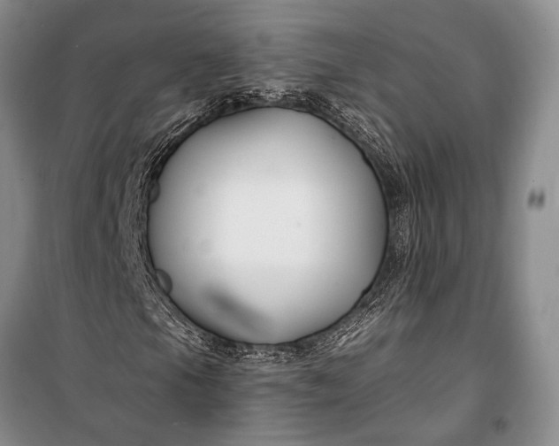 X0000100211105200806131246