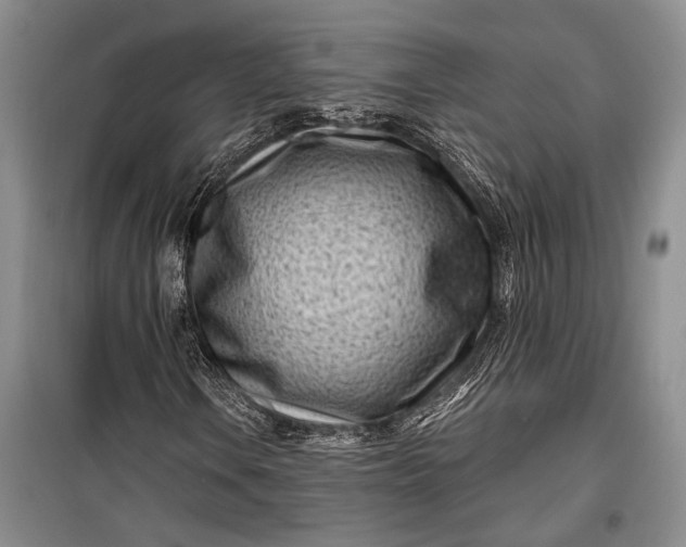 X0000100211106200806131246