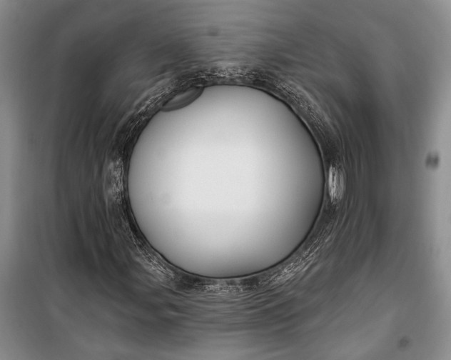 X0000100211107200806131246