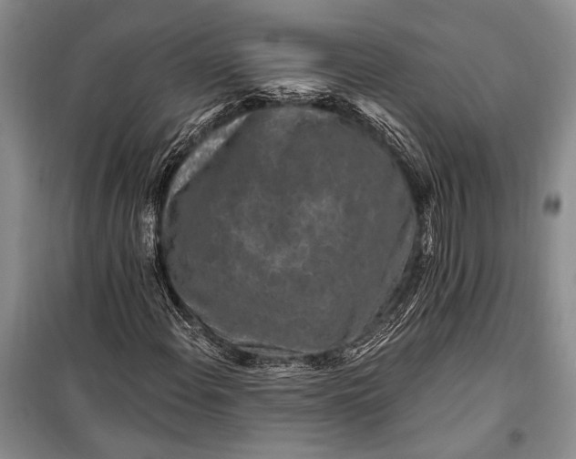 X0000100211108200806131246