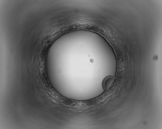 X0000100211109200806131246