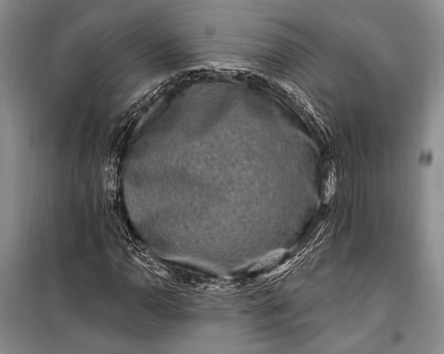 X0000100211110200806131246