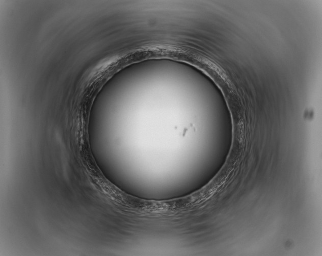 X0000100211111200806131246