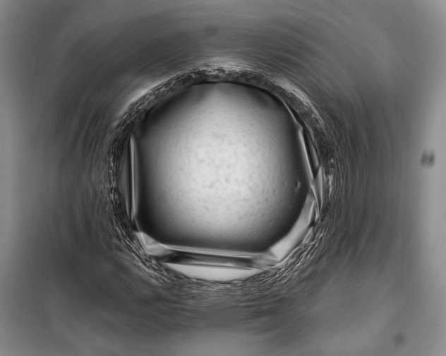 X0000100211112200806131246