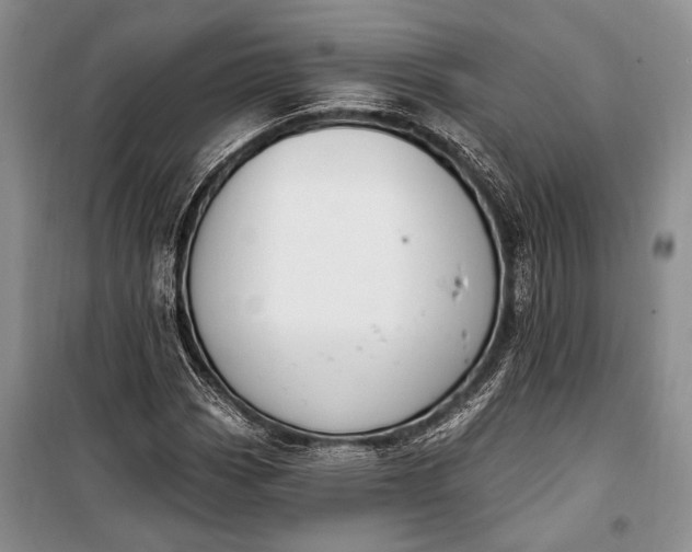 X0000100211113200806131246