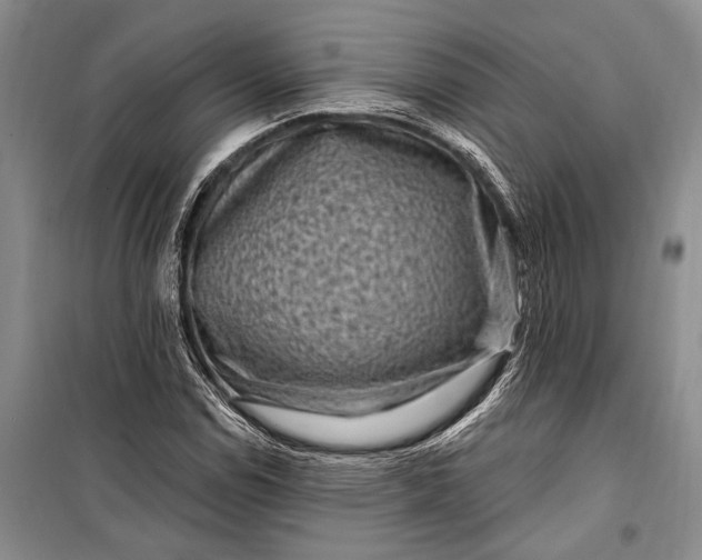 X0000100211114200806131246